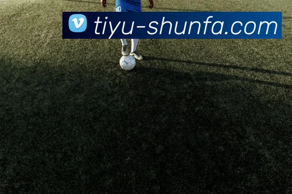 顺发体育网平台生态图